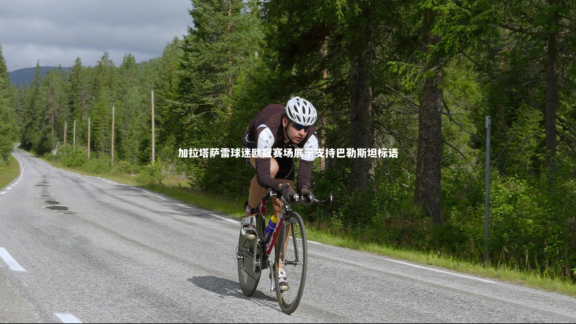 南宫大舞台|加拉塔萨雷球迷欧冠赛场展示支持巴勒斯坦标语